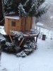 mon_bo_sapin-65.JPG