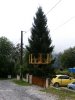 mon_bo_sapin-24.JPG