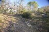 _DSC0928.JPG