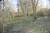 _DSC0893.JPG