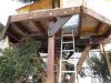 mon_bo_sapin-101.jpg