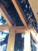 image8.jpeg