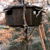 cabane bois-brûlé 1.jpg