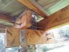 2013-05-01 12.01.58.jpg