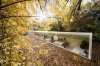 resaurant design nature.jpg