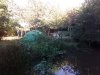 IMG_20220930_103459.jpg