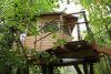 cabane_MG_9473.jpg