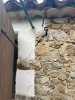 IMG_3545.jpeg