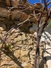 IMG_3587.jpeg