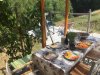 cabane-construction-tinyhouse.jpg