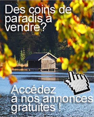 Accédez à nos annonces gratuites