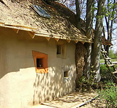 maison_paille.jpg