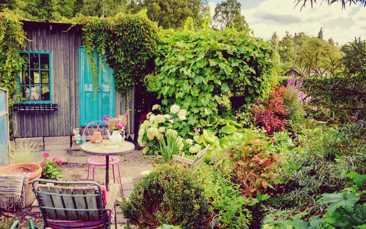cabane et fleurs